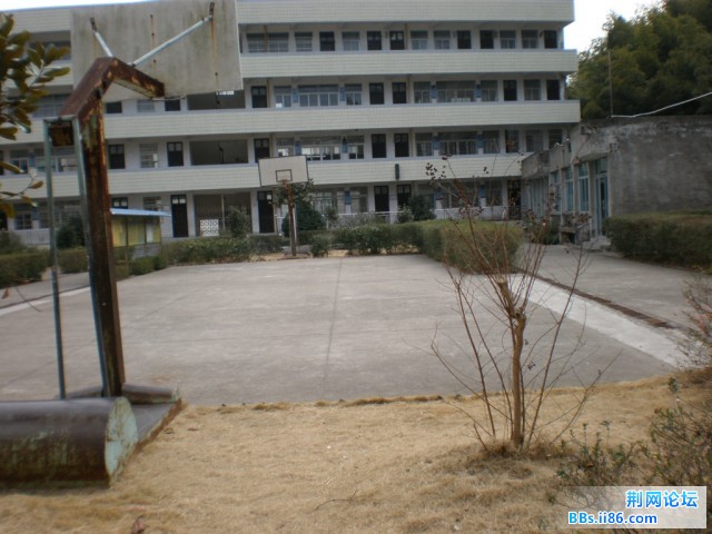 智仁小学