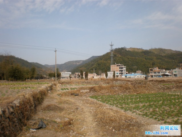 冬日的田野