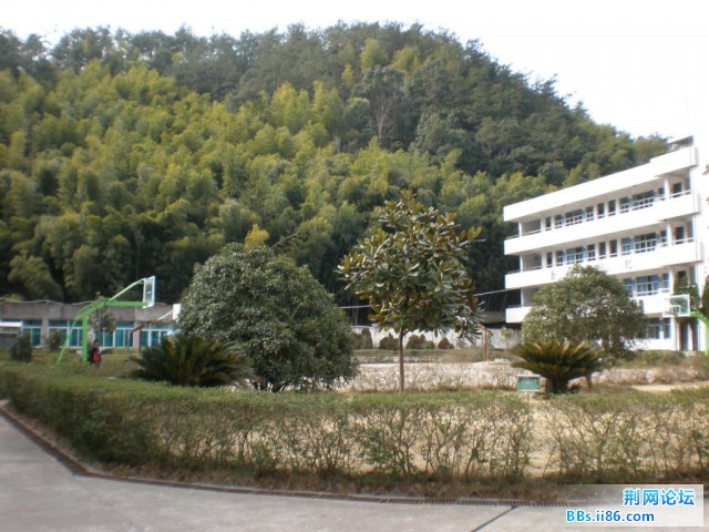 智仁小学