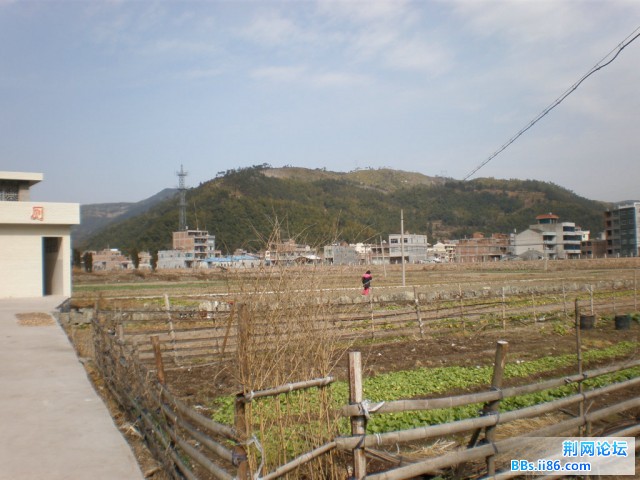 冬日的田野