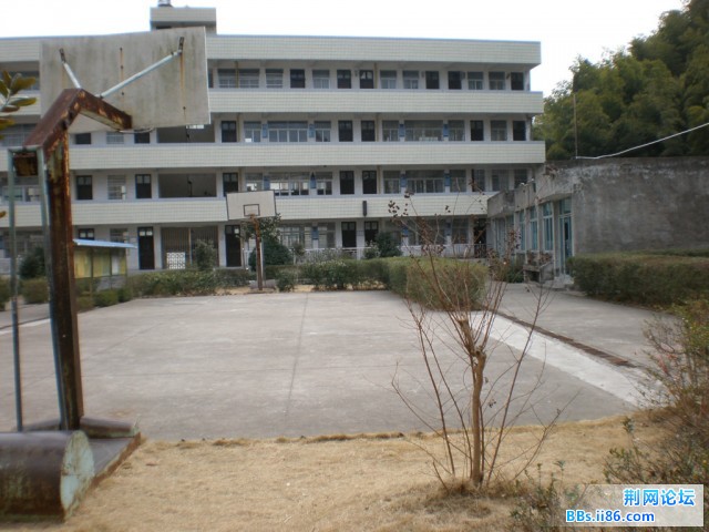 智仁小学