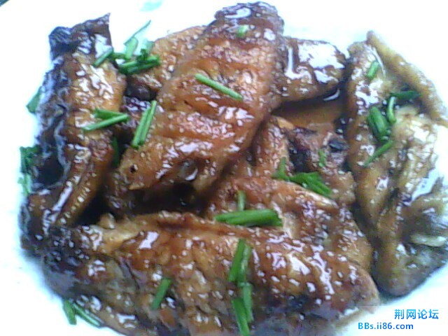IMG0679A.jpg