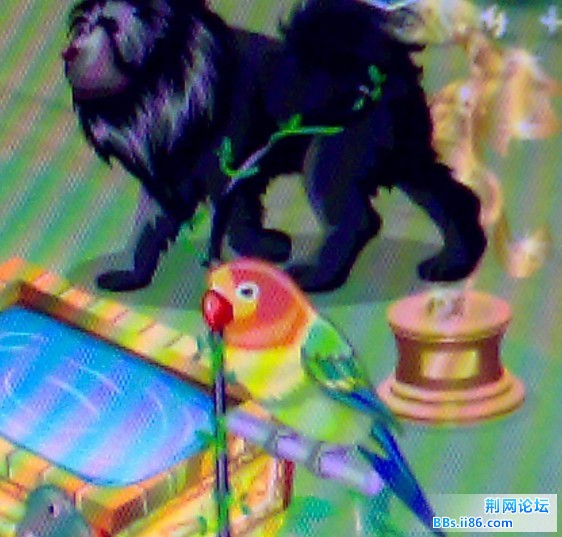 200912151316.jpg