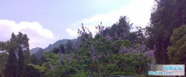 20090501725.jpg