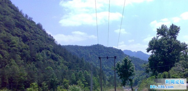 20090501731.jpg