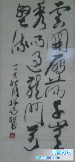 zp004.jpg