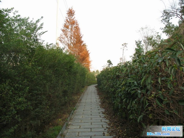 高一（7）班潘晓丹作品.JPG