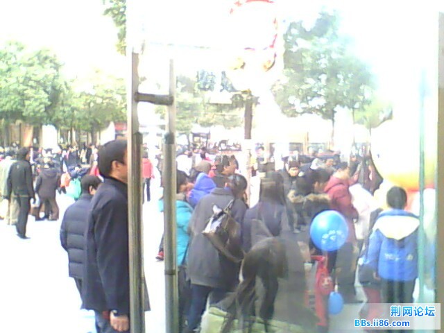 IMG0696A.jpg