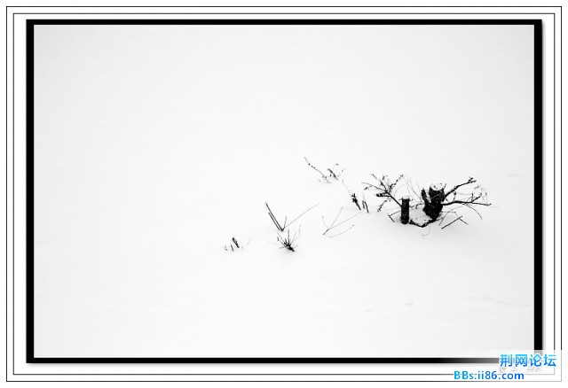 雪景下的水墨画4.jpg