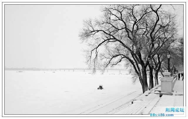 雪景下的水墨画2.jpg