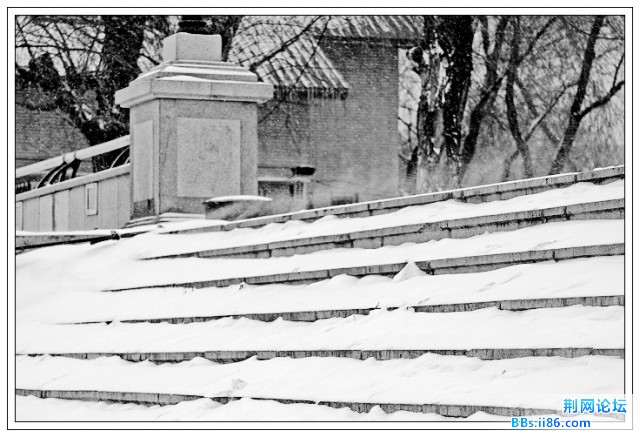 雪景下的水墨画5.jpg