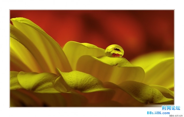 354_276906_498ab7cf9ad1beb.jpg