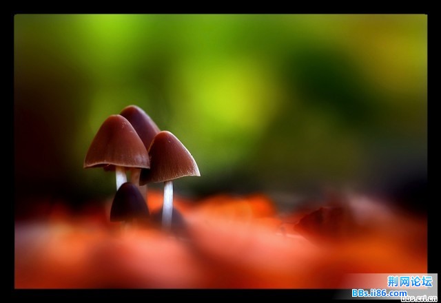 354_276906_496b502d0b0eeaa.jpg