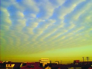201027102436163.jpg