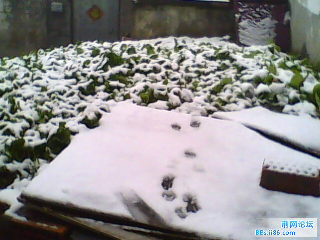 IMG0731A.jpg