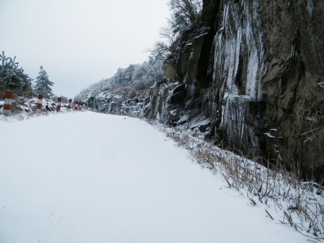 雪路DSCF9849.JPG