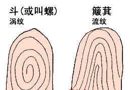 http_imgload.cgi.jpg