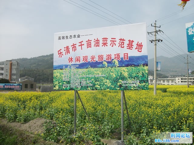 DSCF0033.JPG