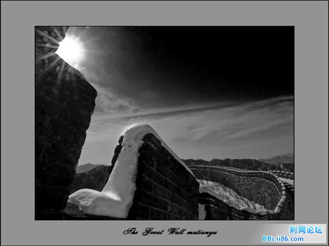 20100316_44248e21e17bf2cc8023C90CVuvlHy9C.jpg