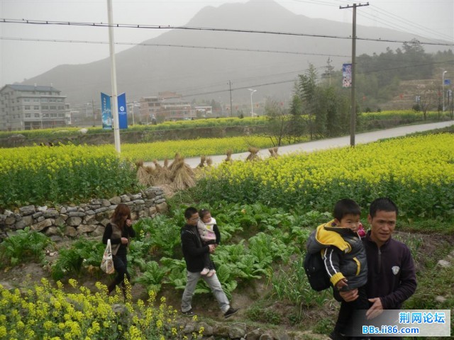 SDC10696.JPG