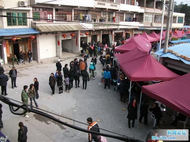 DSCF0230.JPG