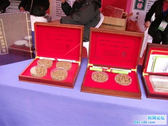 DSCF0248.JPG