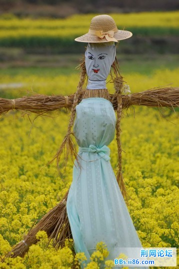 DSC_6493.JPG