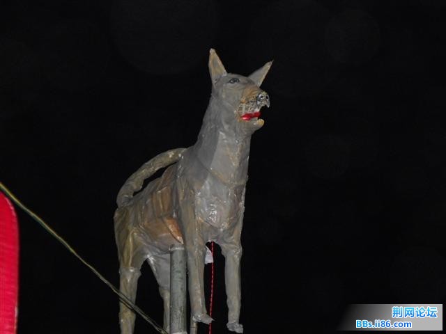 DSCF0776.JPG