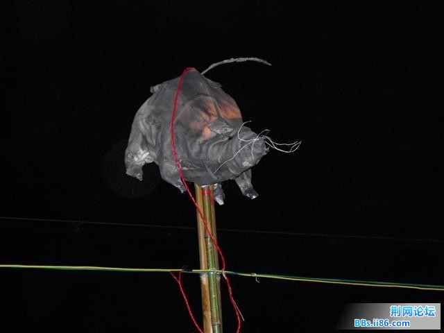 DSCF0780.JPG