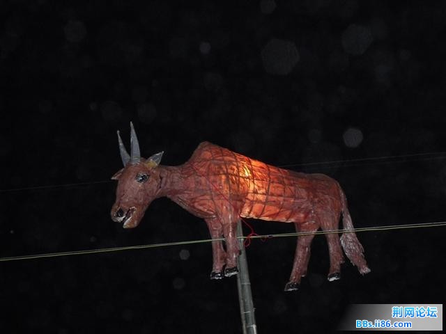 DSCF0779.JPG