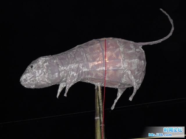 DSCF0778.JPG