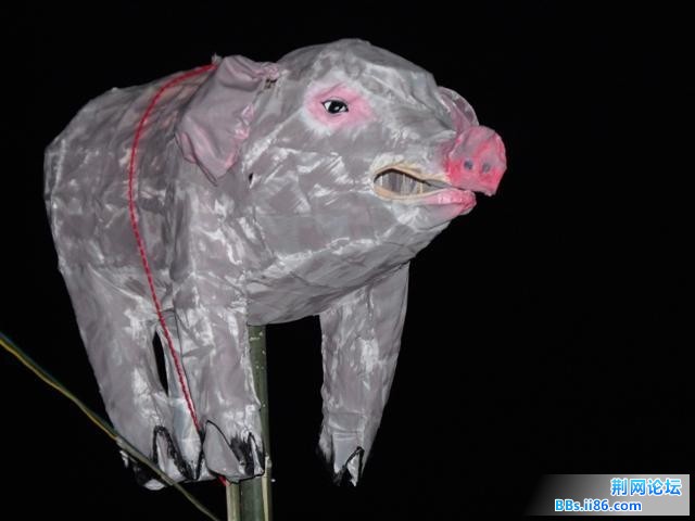DSCF0777.JPG