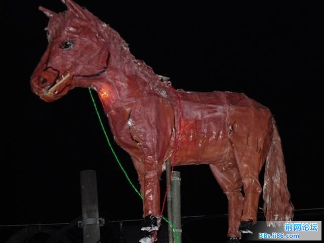 DSCF0774.JPG