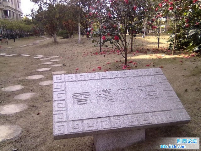 照片 015.JPG