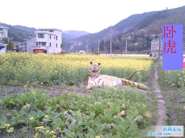 远景卧虎