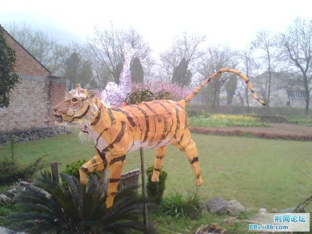 IMG0369A.jpg
