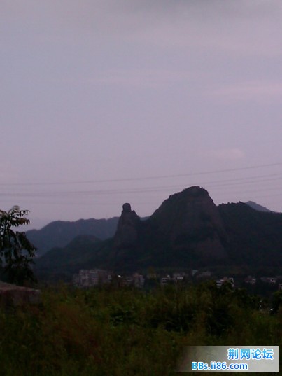IMAG0083.jpg