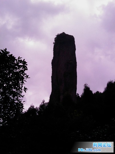 IMAG0024.jpg