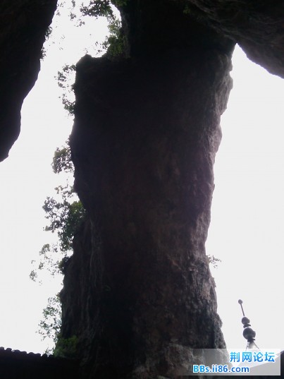 IMAG0079.jpg