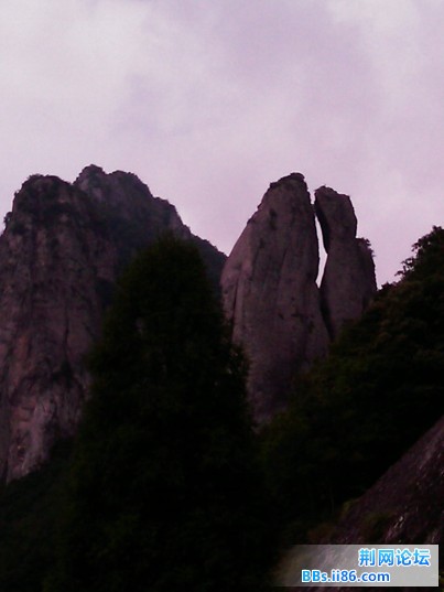 IMAG0013.jpg