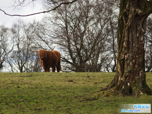 20100401_20084f8c8863236c61dfMpL9SxpW32RT.jpg