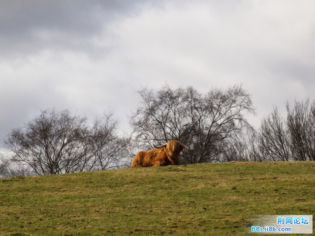 20100401_a0936e0379880396b9cfttYHh8ehMrMl.jpg