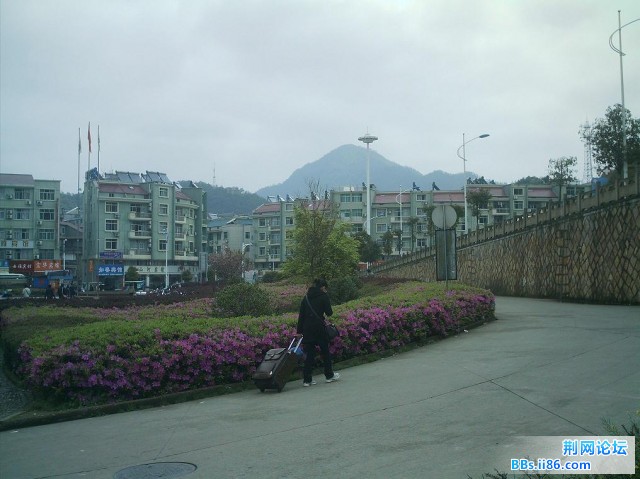 IMAG0001.JPG
