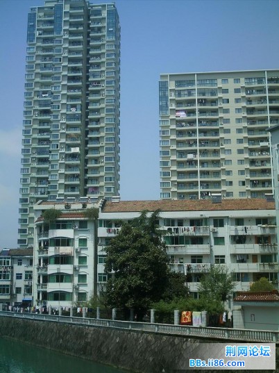 IMAG0028.JPG