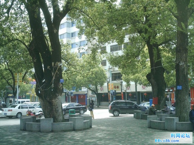IMAG0019.JPG