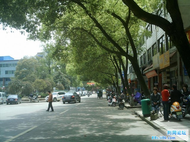 IMAG0018.JPG