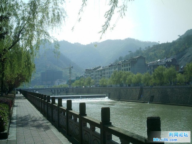 IMAG0007.JPG