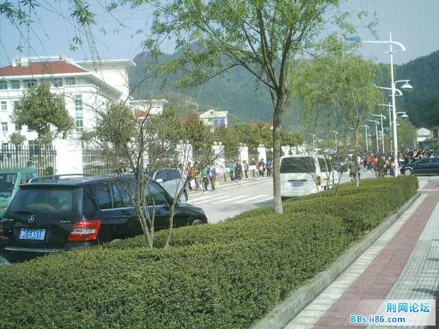 IMAG0024.JPG