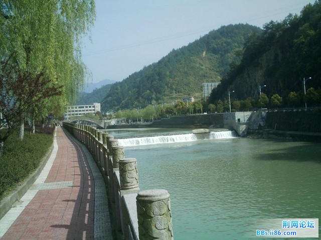 IMAG0013.JPG