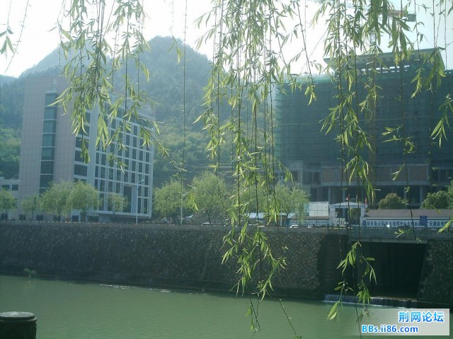 IMAG0010.JPG